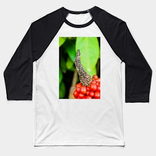 Red peppercorn with bird beak Baseball T-Shirt